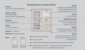 Прихожая модульная Стилиус в Уйском - ujskoe.magazinmebel.ru | фото - изображение 2