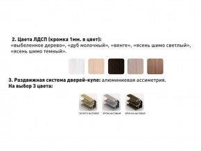 Шкаф-купе Акцент-Сим Д 1200-600 беленое дерево в Уйском - ujskoe.magazinmebel.ru | фото - изображение 3